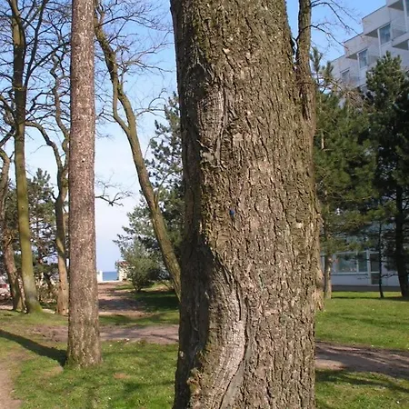 Apartment Seahorse